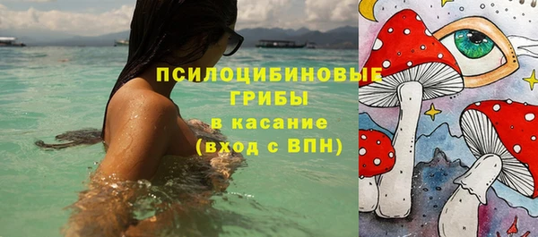 MDMA Premium VHQ Новозыбков
