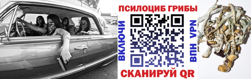 Псилоцибиновые грибы MAGIC MUSHROOMS MEGA вход Топки