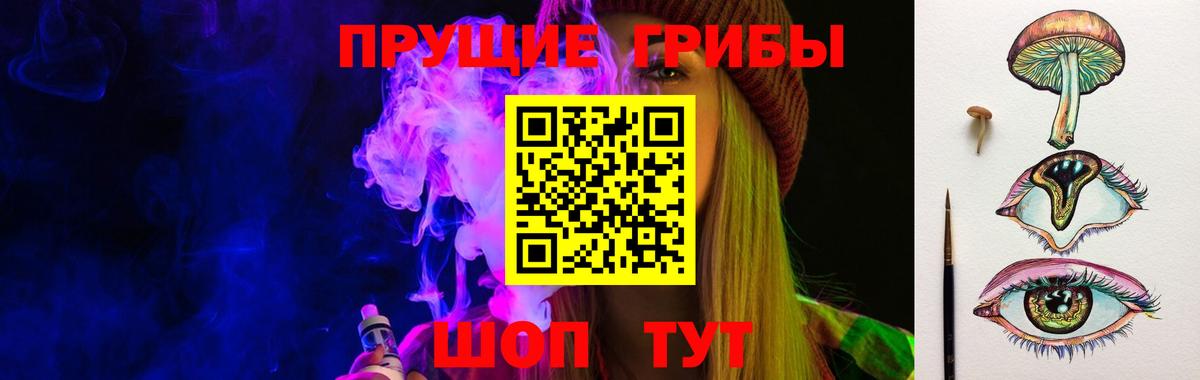 Топки  Псилоцибиновые грибы Psilocybe  Вход с VPN 
